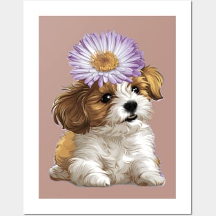 Cavachon Puppy with Purple Aster Posters and Art